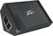 Peavey&nbsp;PV 15M 15