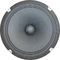 Weber Speakers&nbsp;Signature Series Ceramic 8 15 Watt 8