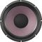 Eminence&nbsp;Patriot Ragin' Cajun 10