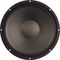 Eminence&nbsp;Omega Pro-15A PA Replacement Speaker&nbsp;&nbsp;15in Front