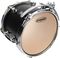 Evans&nbsp;G Plus Coated Drumhead&nbsp;&nbsp;On Drum, Right-facing