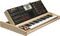 Moog&nbsp;Voyager Select Series&nbsp;&nbsp;Solar, Maple Cabinet
