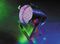 American DJ&nbsp;64 P LED Pro PAR Can&nbsp;&nbsp;Effect