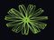 Venue&nbsp;MLG Green Mini Laser Light&nbsp;&nbsp;Effect Pattern 4
