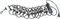 American DJ&nbsp;Flash Rope&nbsp;&nbsp;Flash Rope