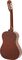 Lyons&nbsp;Classroom Guitar&nbsp;&nbsp;4/4 Size3/4 Size, Back