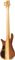 Spector&nbsp;USA NS-5XL Exotic Limited Edition 5-String Bass&nbsp;Spalted Maple&nbsp;Spalted Maple, Back