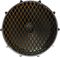 Evans&nbsp;Inked by Evans Photography Series Kick Drumhead&nbsp;20 Inch&nbsp;SPEAKER 2Speaker 1