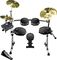 Alesis&nbsp;DM10 Pro Electronic Drum Set&nbsp;&nbsp;DM10 Pro Electronic Drum Set