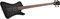 Spector&nbsp;Rox 4 4-String Bass Guitar&nbsp;&nbsp;Black Stain