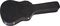 Jasmine by Takamine&nbsp;Jasmine Series ES33C Dreadnought Acoustic-Electric Guitar&nbsp;&nbsp;Case