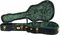 The Loar&nbsp;LH-700 Archtop Acoustic Guitar&nbsp;&nbsp;Case