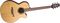 Takamine&nbsp;NEX ETN40C Acoustic-Electric Guitar&nbsp;&nbsp;Satin Natural