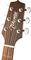 Takamine&nbsp;G FXC G260C Acoustic Guitar&nbsp;&nbsp;Brown Sunburst, Headstock