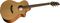 Breedlove&nbsp;Passport C250/CM Acoustic-Electric Guitar&nbsp;&nbsp;Natural