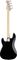 Fender&nbsp;Roger Waters Precision Bass&nbsp;&nbsp;Black, Back