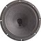 Jensen&nbsp;P10R 25 Watt 10
