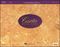 Hal Leonard&nbsp;Carta 25 Scorepad 14.75X11.5, 40 Sheet, 14 Stave Carta Manuscript&nbsp;&nbsp;Carta 25 Scorepad 14.75X11.5, 40 Sheet, 14 Stave Carta Manuscript