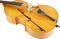 Bellafina&nbsp;Bionda Double Bass&nbsp;3/4 size&nbsp;outfitBow 2