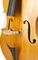 Bellafina&nbsp;Bionda Double Bass&nbsp;3/4 size&nbsp;outfitBridge Detail