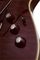 Schecter Guitar Research&nbsp;Hellraiser Special C-1 FR Electric Guitar&nbsp;Black Cherry&nbsp;Black Cherry, Knobs