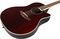 Ovation&nbsp;Celebrity Mid Depth Flame Maple&nbsp;&nbsp;Wine Red Flame, Body Closeup
