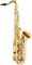 Allora&nbsp;Paris Series Professional Tenor Saxophone&nbsp;&nbsp;Lacquer