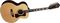 Guild&nbsp;F-512 Acoustic-Electric Guitar with DTAR Multi-Source Pickup System&nbsp;&nbsp;Natural