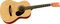 Rogue&nbsp;Starter Acoustic Guitar&nbsp;Blue Burst&nbsp;Matte Natural