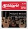 D'Addario&nbsp;EJ24 True Medium / DADGAD Tuning .013-.056&nbsp;&nbsp;H71448.tif