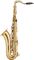 Allora&nbsp;Student Series Tenor Saxophone Model AATS-301&nbsp;&nbsp;Left Side