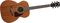 Ibanez&nbsp;AC240 Artwood Grand Concert Acoustic Guitar&nbsp;&nbsp;Natural, Open Pore