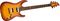 ESP&nbsp;LTD H-101 Flame Maple Electric Guitar&nbsp;&nbsp;Amber Sunburst