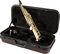 Allora&nbsp;Vienna Series Intermediate Sopranino Saxophone&nbsp;&nbsp;Lacquer, On Case