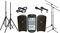 Fender&nbsp;Passport 500 Pro PA Package with 2 Mics&nbsp;&nbsp;Group