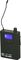 Galaxy Audio&nbsp;AS-1100 UHF Wireless Personal Monitor&nbsp;&nbsp;Beltpack, Left-Facing