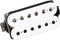 Seymour Duncan&nbsp;APH-1b Alnico II Pro Bridge Humbucker&nbsp;Gold&nbsp;White