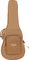 Taylor&nbsp;214CE-G Grand Auditorium Acoustic-Electric Guitar with Gloss Finish&nbsp;&nbsp;Case