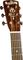 Blueridge&nbsp;BR-41 Contemporary Series Baby Blueridge Acoustic Guitar&nbsp;&nbsp;Natural, Headtock