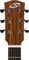 Bedell&nbsp;Discovery BDMCE-18-M Orchestra Cutaway Acoustic-Electric Guitar&nbsp;Matte/Natural&nbsp;Matte Natural, Headstock