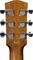 Bedell&nbsp;Discovery BDMCE-18-M Orchestra Cutaway Acoustic-Electric Guitar&nbsp;Matte/Natural&nbsp;Matte Natural, Headstock, Back