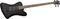 Spector&nbsp;Legend 4X Classic Electric Bass Guitar&nbsp;Black Stain Gloss&nbsp;Black Stain