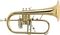 Antoine Courtois Paris&nbsp;AC155-1-0 Professionel Bb Flugelhorn&nbsp;&nbsp;Lacquer