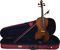 Stentor&nbsp;Student II Series Violin Outfit&nbsp;1/2 Outfit&nbsp;With Case