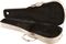 Alvarez&nbsp;TDC2 Thin Dreadnought Guitar Case with Hygrometer&nbsp;&nbsp;Open