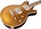 Gibson&nbsp;Les Paul Double Cutaway Electric Guitar&nbsp;&nbsp;Gold Top, Body Closeup