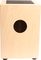 Meinl&nbsp;Bass Cajon with Foot Pedal and Ebony Frontplate&nbsp;&nbsp;Back