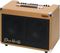 UltraSound&nbsp;Dean Markley AG50DS4 50W 2x8 Acoustic Combo Amp&nbsp;&nbsp;Left-Facing
