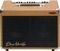 UltraSound&nbsp;Dean Markley AG50DS4 50W 2x8 Acoustic Combo Amp&nbsp;&nbsp;Front