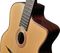 Gitane&nbsp;DG-340 Modele Stephane Wrembel Gypsy Jazz Guitar&nbsp;&nbsp;Body, Detail